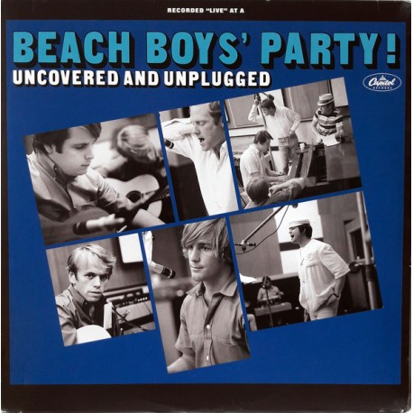Beach Boys / Vinilo Party