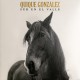 Quique González / Vinilo Sur en el valle