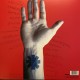 Red Hor Chili Peppers / Vinilo Blood sugar