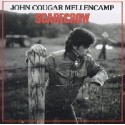 John Cougar Mellencamp / Lp Vinilo