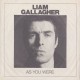 Liam Gallagher CD