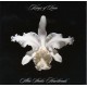 Kings of Leon - CD - Aha shake heartbreak