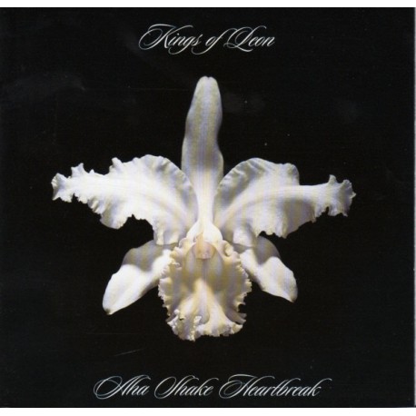 Kings of Leon - CD - Aha shake heartbreak