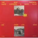 New Raemon / Así caen los días Vinilo