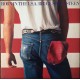 Bruce Springsteen Vinilo Born in USA