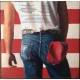 Bruce Springsteen Vinilo Born in USA