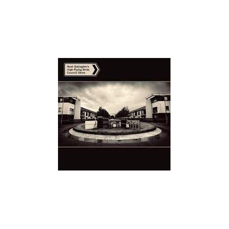 Noel Gallagher Vinilo Council skies