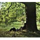John Lennon. Cd Plastic Ono. 50 aniversario