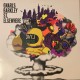Gnarls Barkley Vinilo St Elsewhere