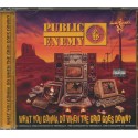 Public Enemy Cd What you gonna do when the grid goes down