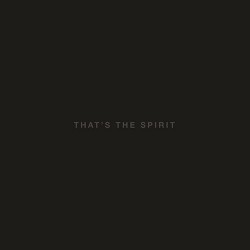 Bring me the Horizon Cd That´s the spirit