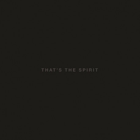 Bring me the Horizon Cd That´s the spirit