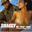 Mr lover lover Cd Shaggy Éxitos