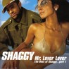 Mr lover lover Cd Shaggy Éxitos