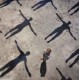 Muse Vinilo Absolution