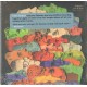 Calexico & Iron and Wine CD Years to burn