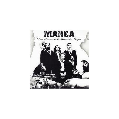 Marea Cd Aceras están llenas de piojos