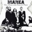 Marea Cd Aceras están llenas de piojos