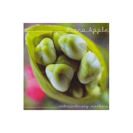 Fiona Apple Cd Extraordinary machine