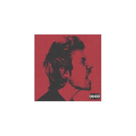 Dani Martín Vinilo Último día de nuestras vidas