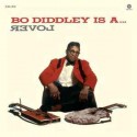 Bo Diddley Vinilo Is a lover