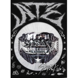 Stray Kids Cd Ate. Cd Kpop