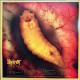 Slipknot Vinilo Live Madison Square Garden