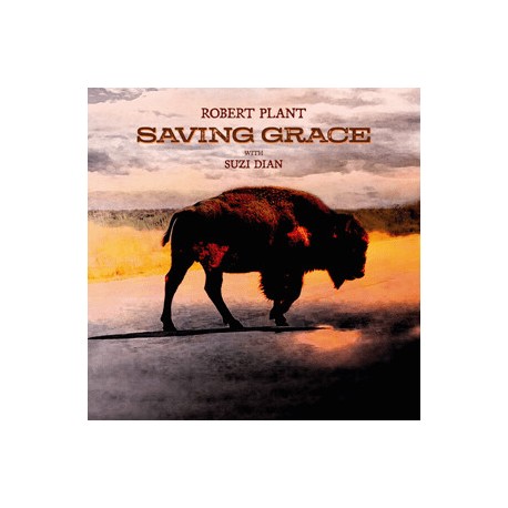 Robert Plant CD Saving Grace
