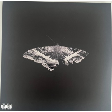 Kendrick Lamar Vinilo To Pimp a Butterfly