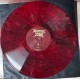 Despised Icon Vinilo Shadow work