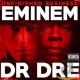 Eminem Dr Dre CD Unfinished business