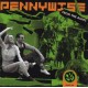 Pennywise CD From the ashes