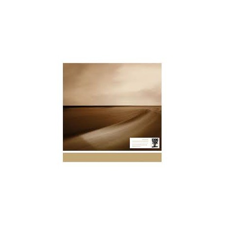 Brian Eno VINILO Small craft on a milk sea RSD 2026