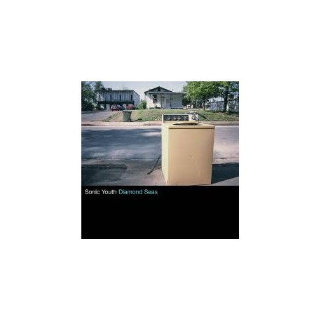 Sonic Youth VINILO Diamond seas RSD 2026