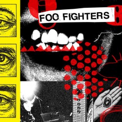 Foo Fighters CD Your favorite toy