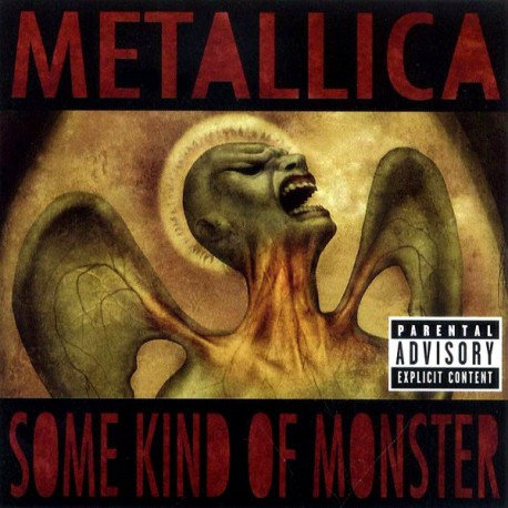 Metallica CD Some kind of monster
