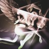 The Smashing Pumpkings / CD