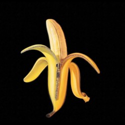 The Dandy Warhols / CD