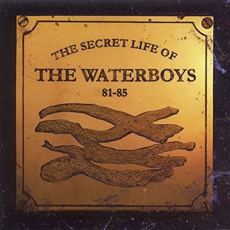 The Waterboys / CD