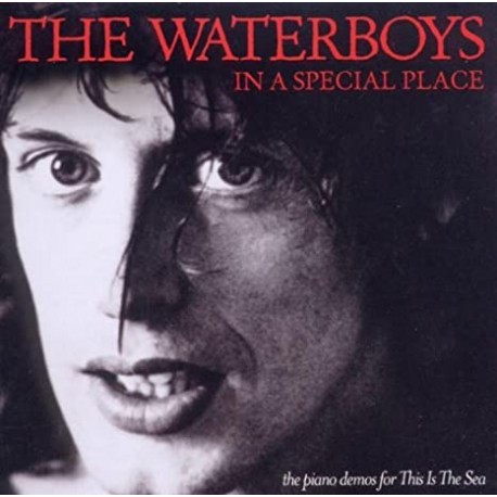 The Waterboys / CD