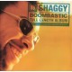 Shaggy / CD